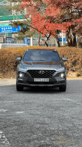 Hyundai Santa Fe IV 2.2d AT 4WD