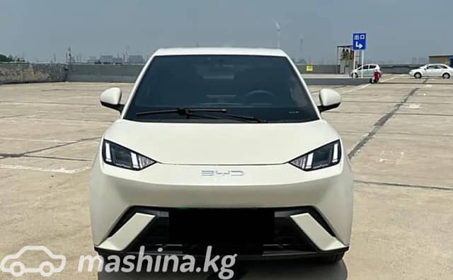 BYD Seagull 38.88 kWh Electro AT