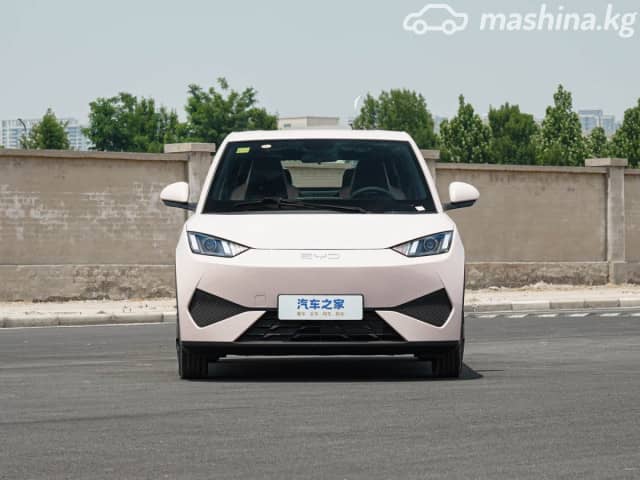 BYD Seagull 30.08 kWh Electro AT