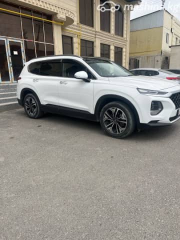 Hyundai Santa Fe IV 2.2d AT 4WD