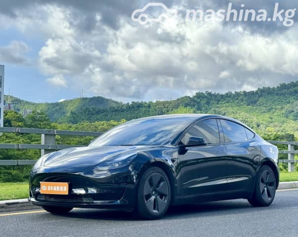 Tesla Model 3 I Standart Plus Electro AT