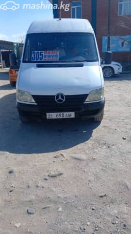 Mercedes-Benz Междугородный