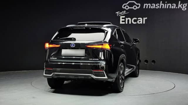 Lexus NX I Рестайлинг 300h 2.5hyb CVT 4WD