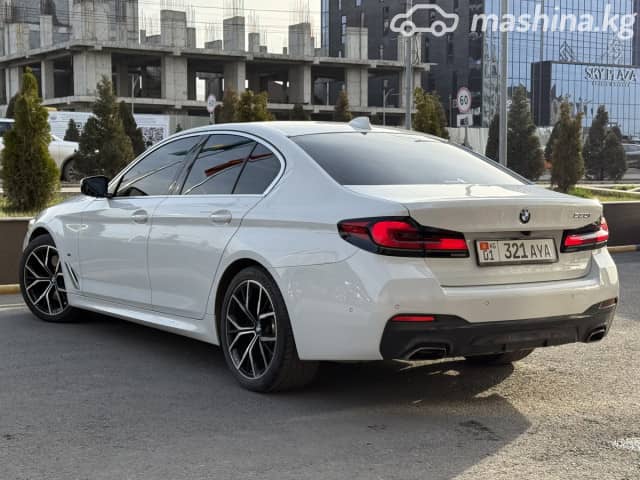 BMW 5 серии VII (G30/G31) Рестайлинг 530i 2.0 AT
