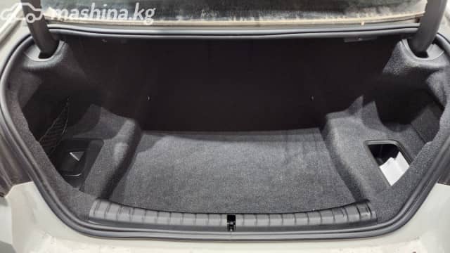 BMW 5 серии VII (G30/G31) Рестайлинг 530i 2.0 AT