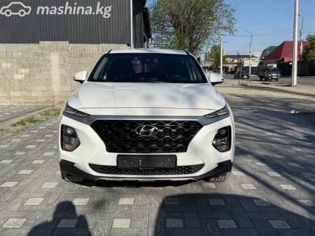 Hyundai Santa Fe IV 2.0d AT 4WD