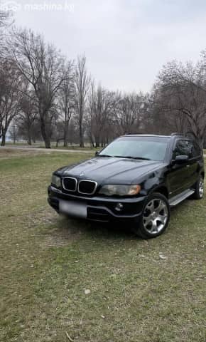 BMW X5 I (E53) 3.0d AT 4WD