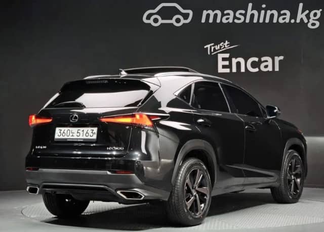 Lexus NX I Рестайлинг 300 2.0 AT 4WD