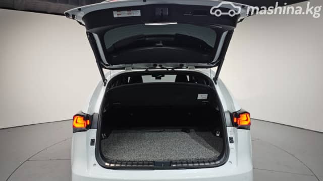 Lexus NX I Рестайлинг 200 2.0 CVT