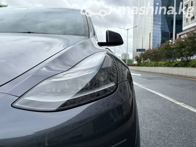 Tesla Model Y I Long Range Electro AT 4WD