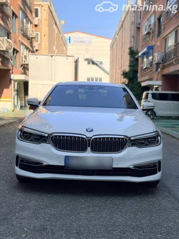 BMW 5 серии VII (G30/G31) 530i xDrive 2.0 AT 4WD