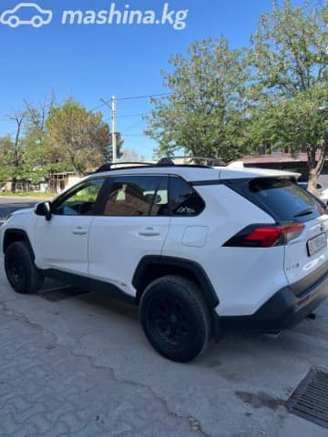Toyota RAV4 V (XA50) 2.5hyb CVT 4WD