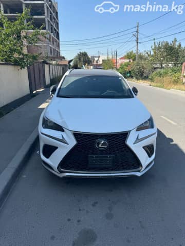 Lexus NX I Рестайлинг 300 2.0 AT