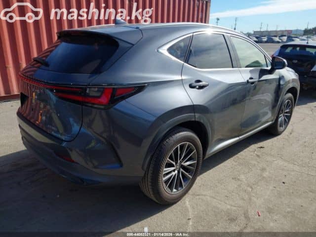 Lexus NX II 250 2.5 AT