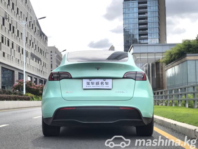 Tesla Model Y I Standard Electro AT