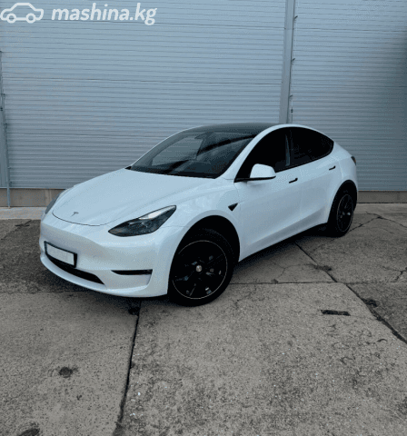 Tesla Model Y I Long Range Electro AT 4WD