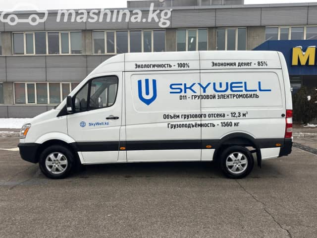 Skywell D11