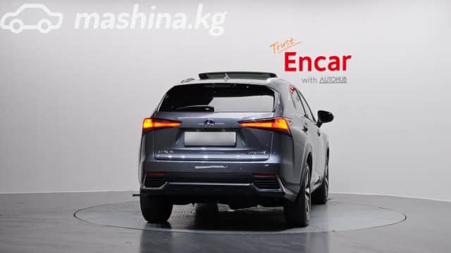 Lexus NX I Рестайлинг 300h 2.5hyb CVT 4WD