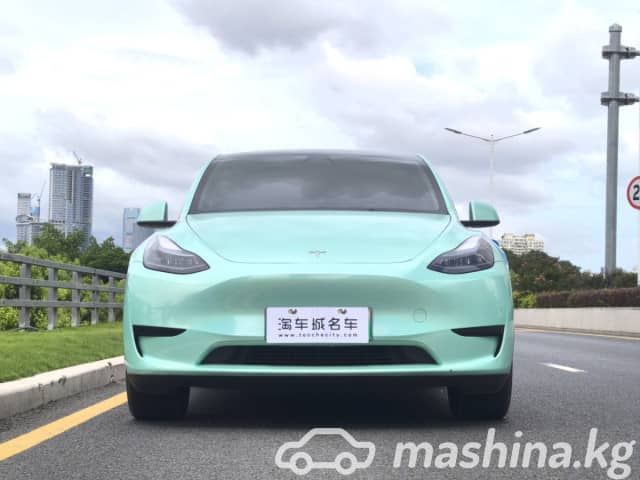 Tesla Model Y I Standard Electro AT