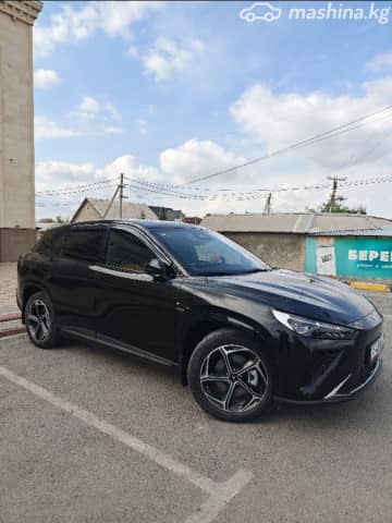 Hozon Neta L 30 kWh 1.5hyb AT