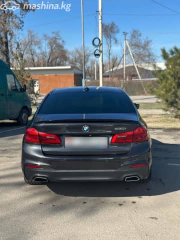 BMW 5 серии VII (G30/G31) 530i 2.0 AT