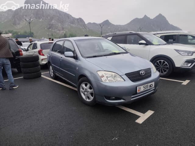 Toyota Corolla IX (E120, E130) 1.6 MT