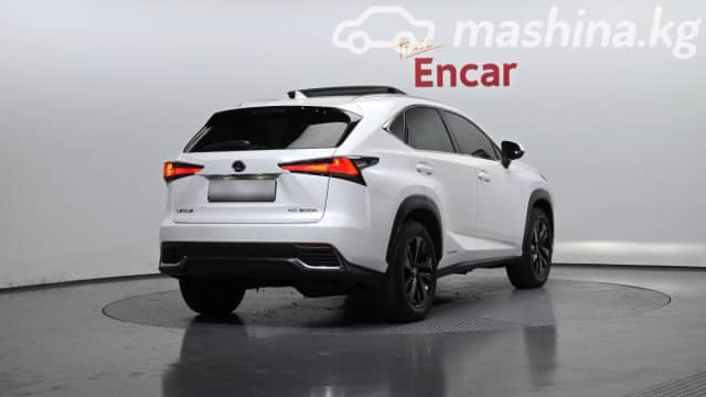 Lexus NX I Рестайлинг 300h 2.5hyb CVT 4WD