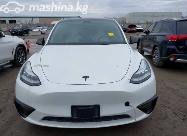Tesla Model Y I Long Range Electro AT 4WD