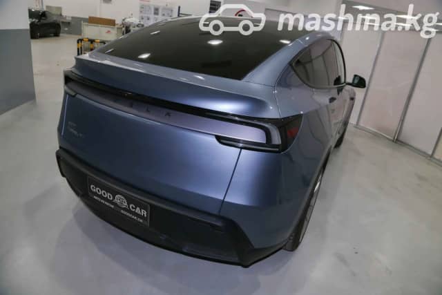 Tesla Model Y I Standard Electro AT