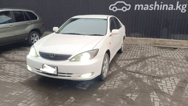 Toyota Camry V (XV30) 2.4 AT