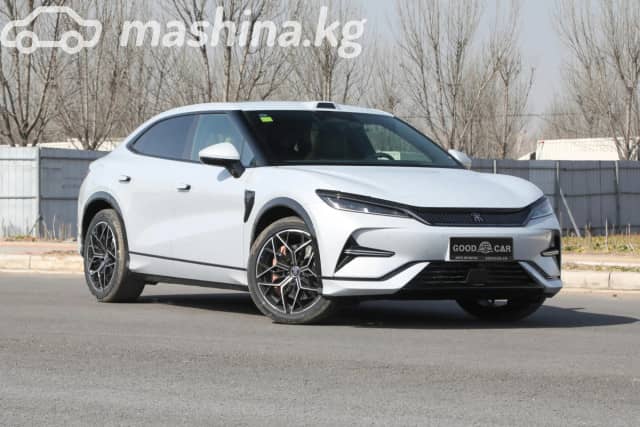 BYD Song L Electro AT