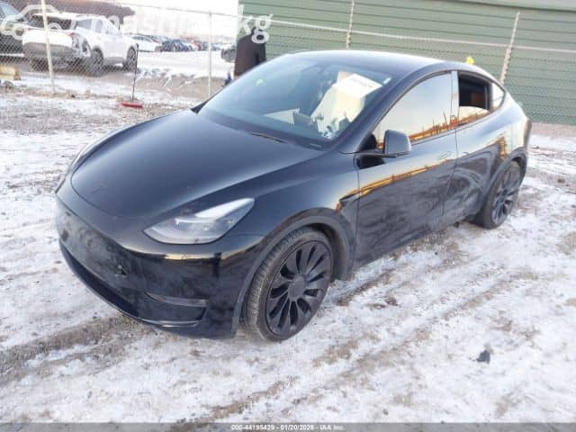 Tesla Model Y I Long Range Electro AT 4WD
