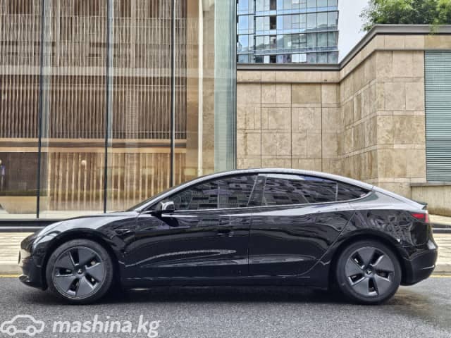 Tesla Model 3 I Standart Plus Electro AT