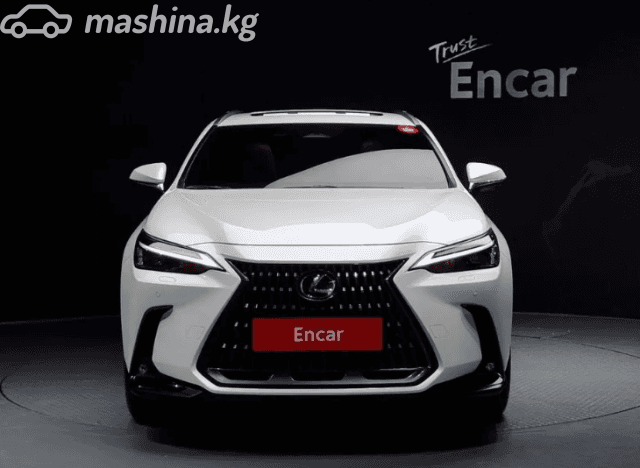 Lexus NX II 450h+ 2.5hyb AT 4WD
