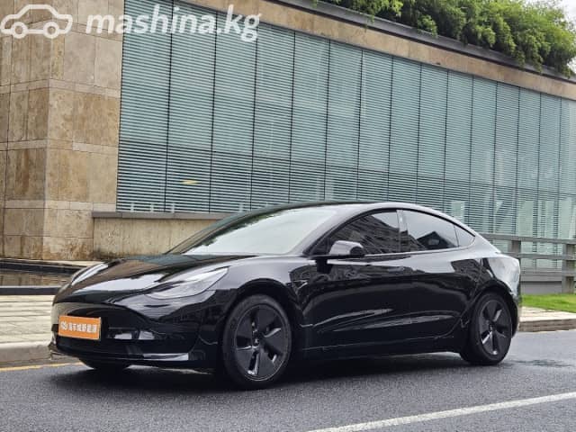 Tesla Model 3 I Standart Plus Electro AT