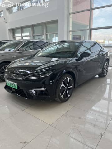 BYD Song L Electro AT 4WD
