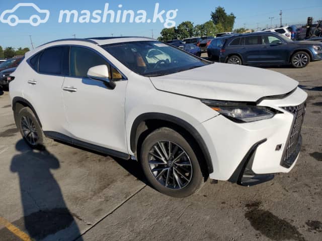 Lexus NX II 250 2.5 AT