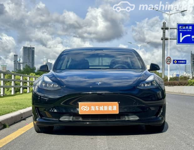 Tesla Model 3 I Standart Plus Electro AT
