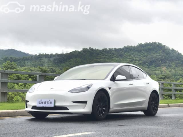 Tesla Model 3 I Long Range Electro AT