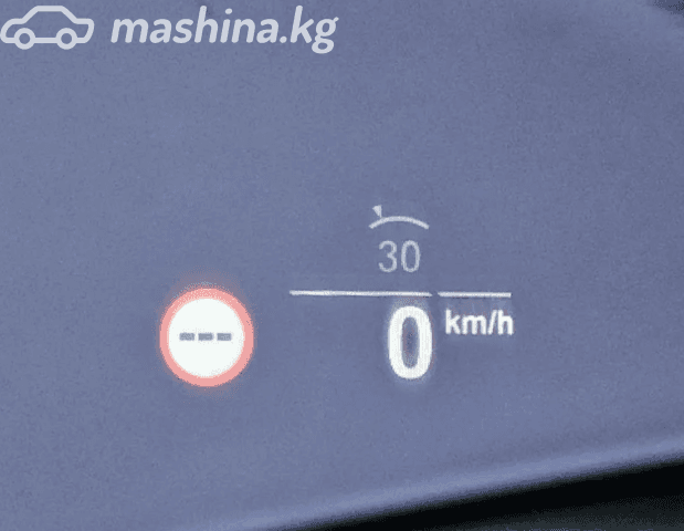 BMW X5 IV (G05/G18) 30d 3.0d AT 4WD
