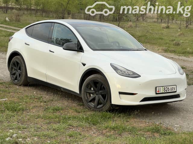 Tesla Model Y I Long Range Electro AT 4WD