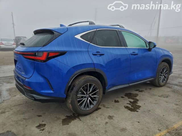 Lexus NX II 250 2.5 AT