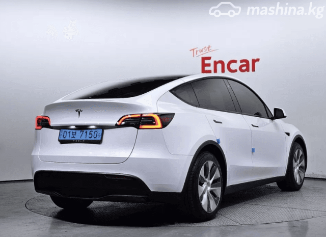 Tesla Model Y I Standard Electro AT