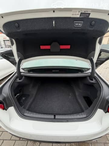 BMW 5 серии VII (G30/G31) 530i xDrive 2.0 AT 4WD