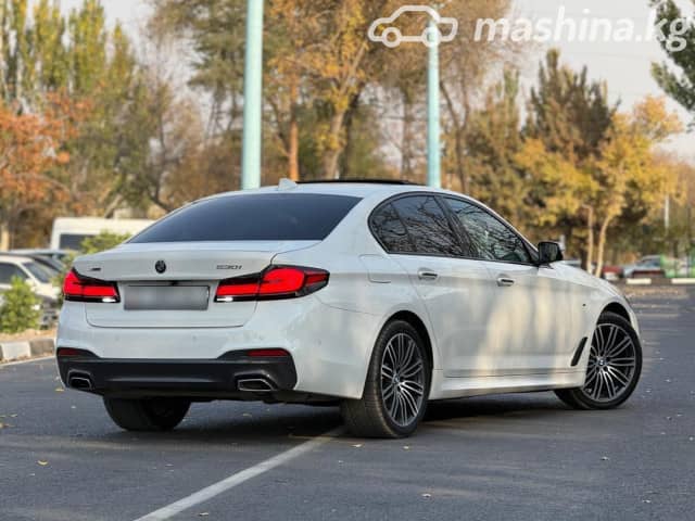BMW 5 серии VII (G30/G31) 530i xDrive 2.0 AT 4WD