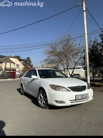 Toyota Camry V (XV30) 2.4 AT