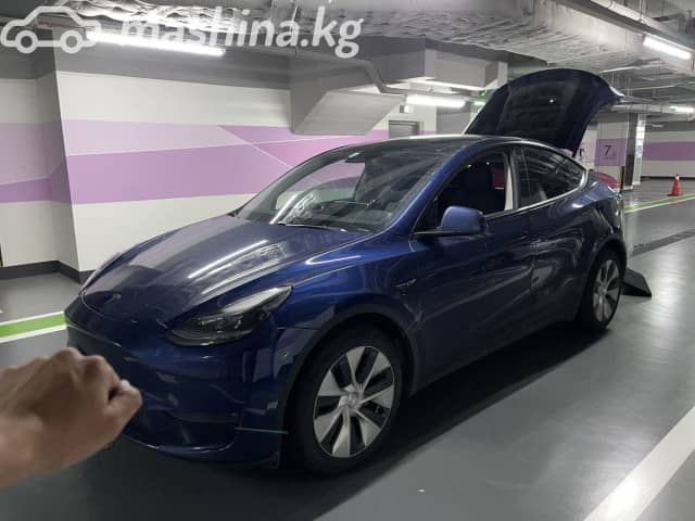 Tesla Model Y I Long Range Electro AT 4WD