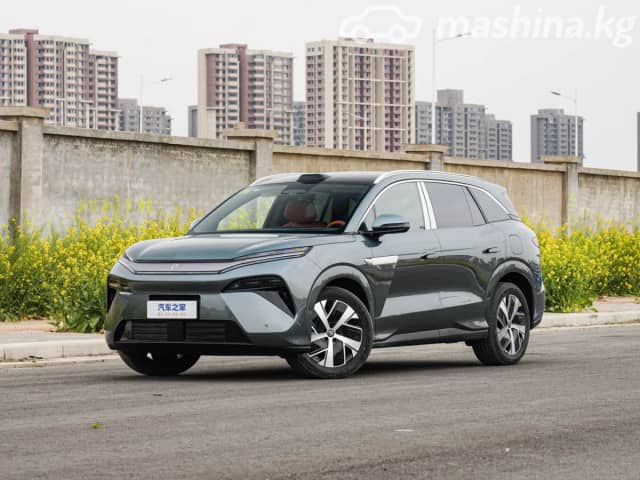 BYD Tang L DM-i 1.5hyb AT