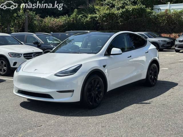 Tesla Model Y I Performance Electro AT 4WD