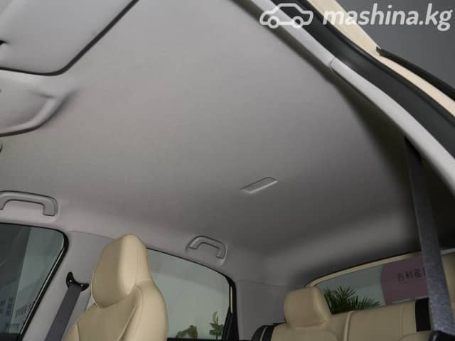 Geely Geome Star Wish 40 kWh Electro AT 4WD